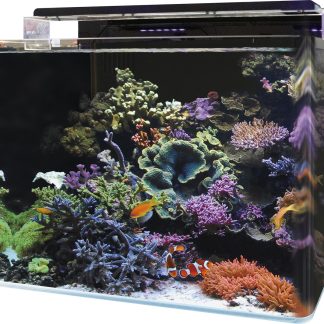 Blue Marin REEF 120 AQUARIUM