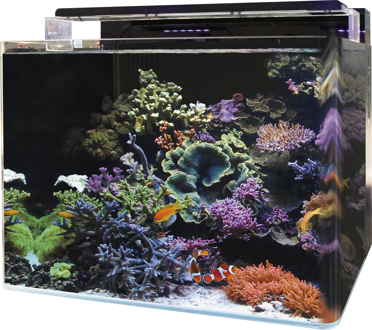 Blue Marin REEF 120 AQUARIUM